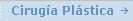 Cirug�a Pl�stica Est�tica Cirugia Plastica